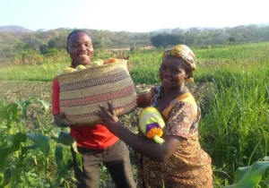 Programa de desarrollo socioeconómico de mejora de producción agropecuaria, impulso de la comercialización y fortalecimiento asociativo en Tanzania