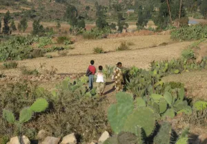 Día contra la desertificación y la Sequía. Foto: Marta Carreño en Etiopía