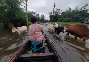 Inundaciones en el estado de Assam. Foto: Manos Unidas