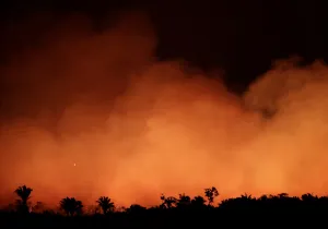 Preocupación ante la oleada de incendios en la Amazonía. Foto: REUTERS
