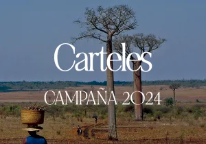 Materiales Campaña 2024 - Carteles