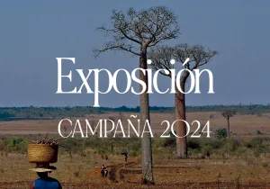 Materiales Campaña 2024 - Exposición