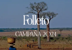 Materiales Campaña 2024 - Folleto Informativo