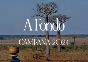 Materiales Campaña 2024 - Informe a Fondo