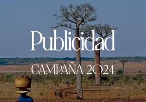 Materiales Campaña 2024 - Archivos de Publicidad