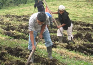 Soberanía alimentaria: fortalecimiento cultural y organizativo de pueblos indígenas