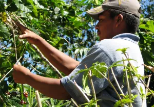Agroecología y alternativas de desarrollo ante el cambio climático