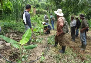 Pequeños productores Tamanique