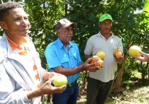 Promoción de agroecología en comunidades con escasos recursos y alto desempleo. Manos Unidas Valencia