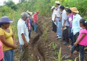 Consolidación y expansión de la agricultura sostenible en Veraguas