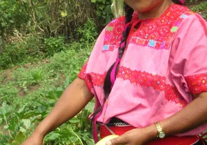 México desconocido y desigual