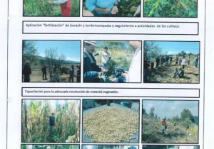 MÉXICO – AMÉRICA (MEX/70526/LVI B)AGRICULTURA AGROECOLÓGICA Y GENERACIÓNDE INGRESOS