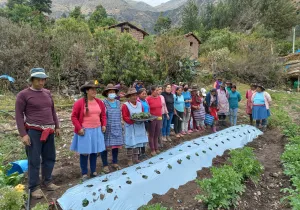 Comunidades alto andinas de Cusco, Perú. Foto: Manos Unidas