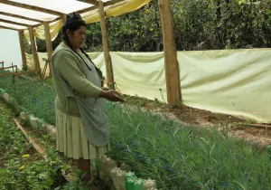 Mujer agrícola de Bolivia