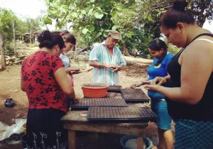 Proyecto de Manos Unidas en El Salvador 2018. Seleccion de semillas