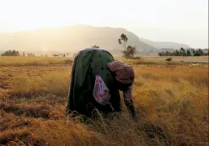 Sobrevivir en África