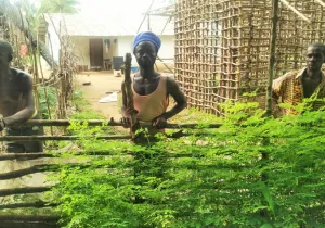 Sierra Leona. Foto: Salesianos