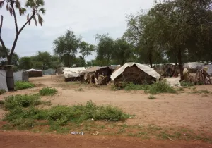 Refugiados en Campo de Doro