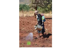 Los proyectos de agua son clave para el desarrollo