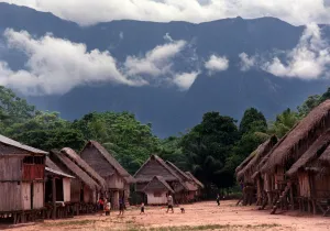 Kakataibo, Perú