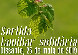Salida familiar solidaria