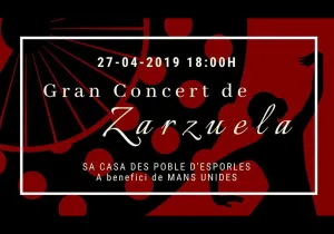 Concierto del Duo Voicello a beneficio de Manos Unidas