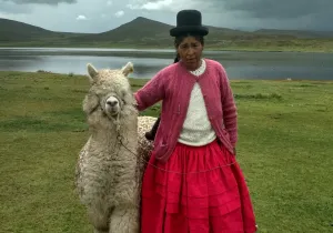 Mujeres productoras alpaca Foto: Manos Unidas/ Mariana Ugarte
