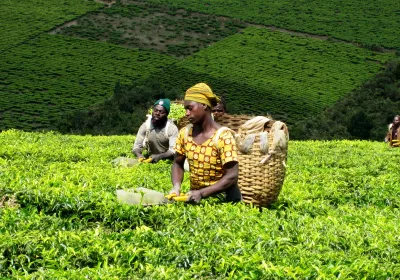 Agricultores en Tanzania_ Foto Jimena Francos