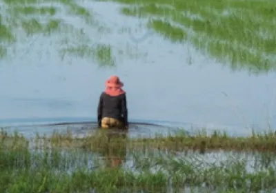 Exposición "El agua es esencial para la vida"
