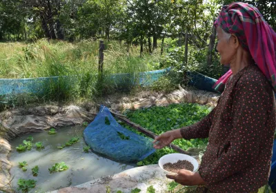 Viejos y nuevos retos de las familias campesinas en Camboya - Foto Patricia Garrido - Manos Unidas