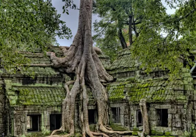 Paisaje de Camboya