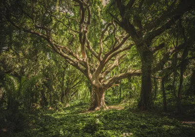 Día mundial del medio ambiente