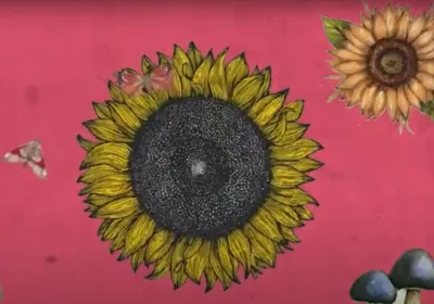 Ganadores de Clipmetrajes, categoría General: vídeos que intentan cambiar actitudes