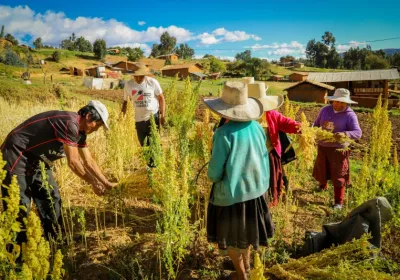 Manos Unidas - Dos programas para impulsar la calidad de vida en Perú y Ecuador - Imagen: CEDEPAS Norte
