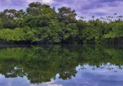 Quico Taronjí en la Amazonia