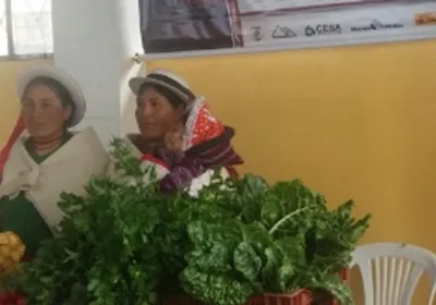 La Organización de mujeres San Francisco Cuatro Esquinas e la exposición de Palmira