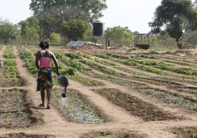 Sembrar futuro en Senegal: el reto de vivir de la tierra. Fotografía: Ana Pérez