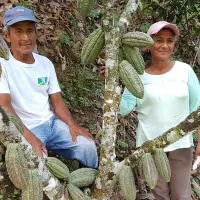 Ana y Lorenzo - Cultivo de cacao - Foto Fundación Maquita, Ecuador