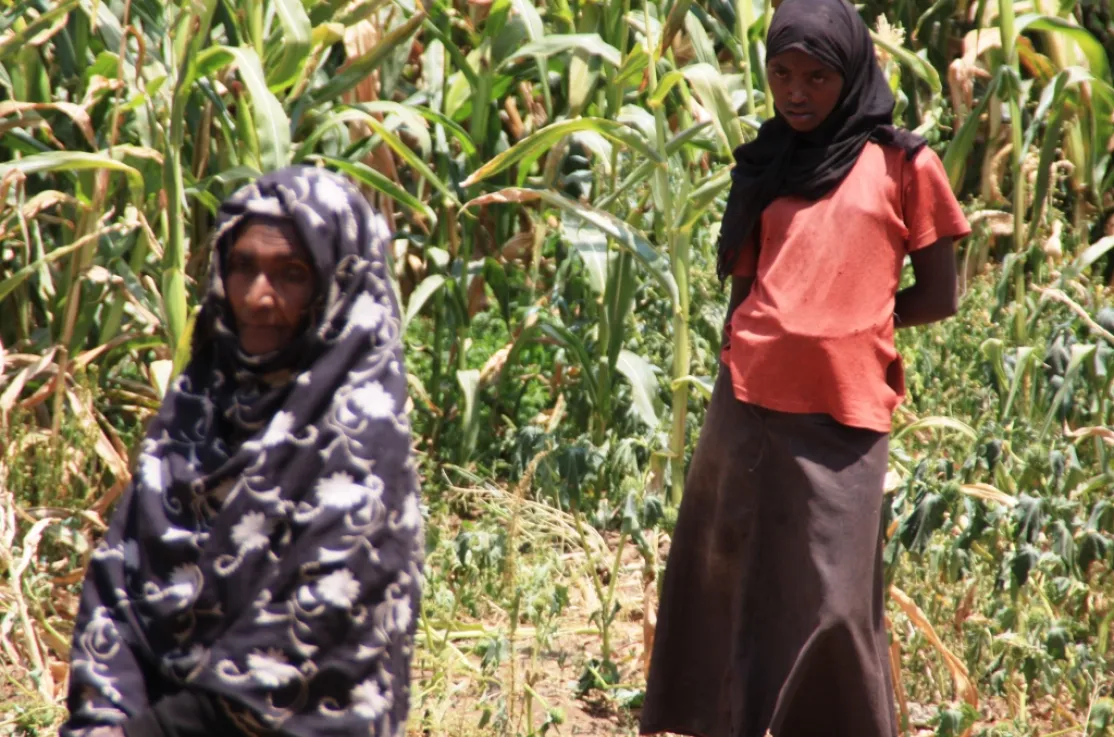 La madre y la hija de Halima