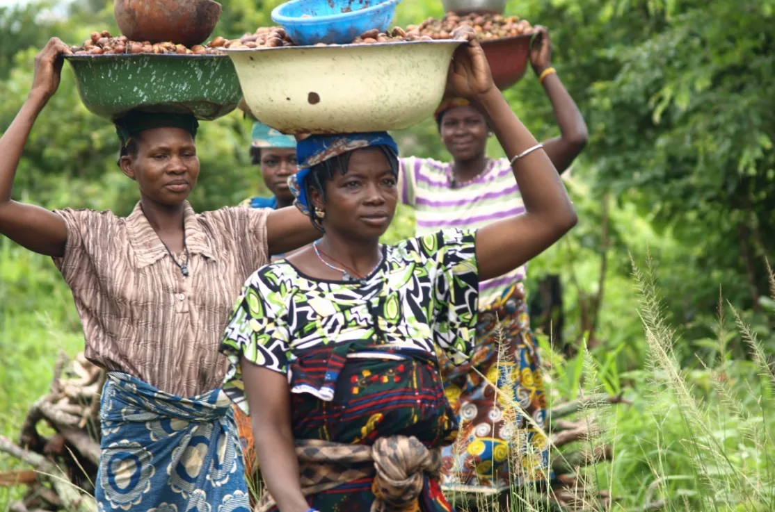 Mujeres africanas transportando karité