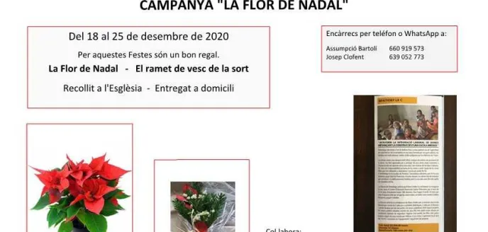 Campaña "La flor de Nadal" de Figuerola del Camp
