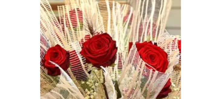 Diada de Sant Jordi