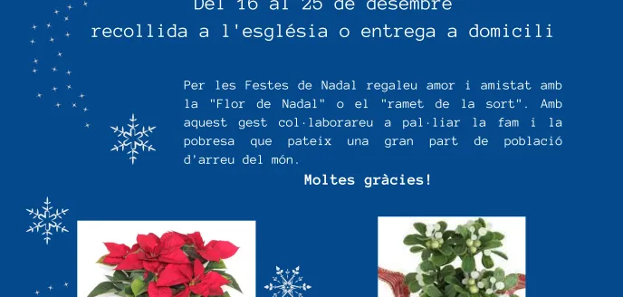 Campaña "La Flor de Nadal"