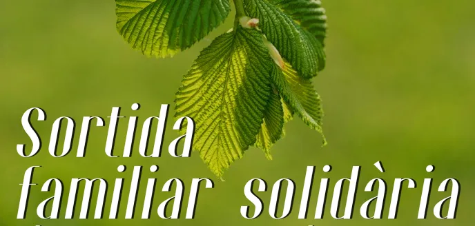 Salida familiar solidaria