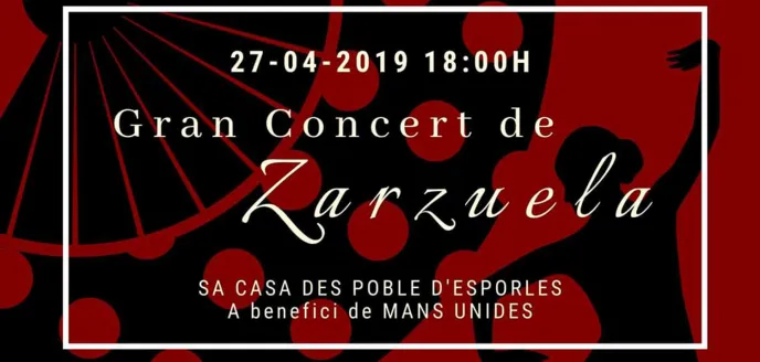 Concierto del Duo Voicello a beneficio de Manos Unidas