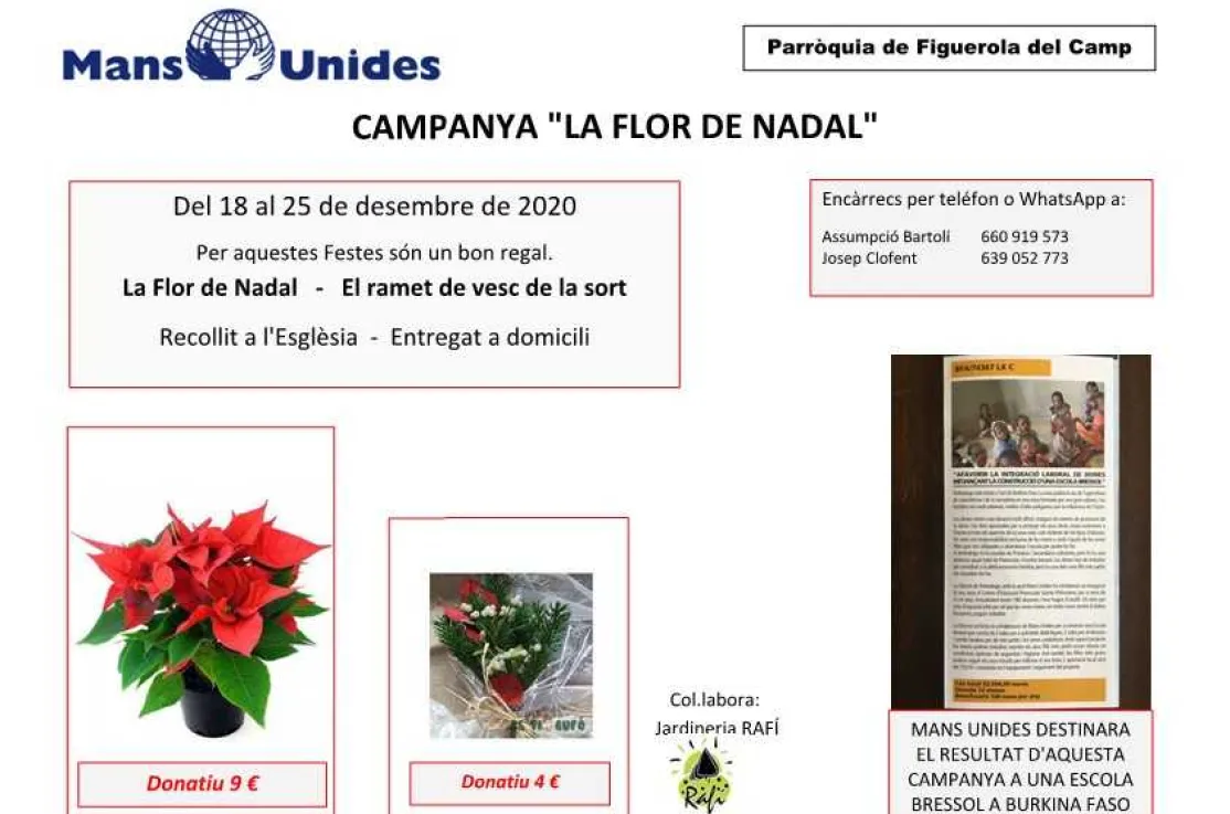 Campaña "La flor de Nadal" de Figuerola del Camp