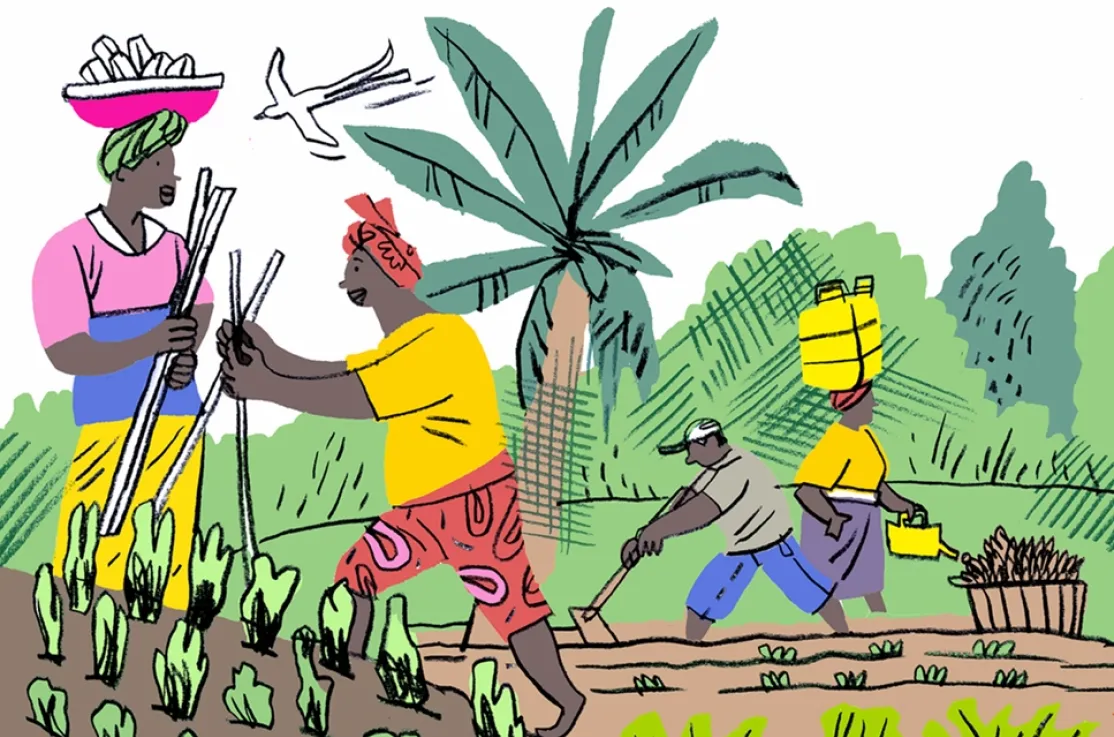 Una de las ilustraciones del dossier Garifuna