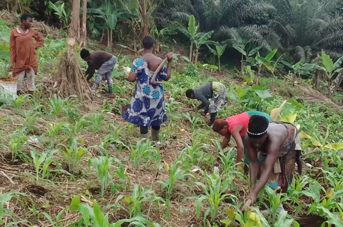 Mujeres agrícolas desplazadas en Camerún. Fotografía: Manos Unidas