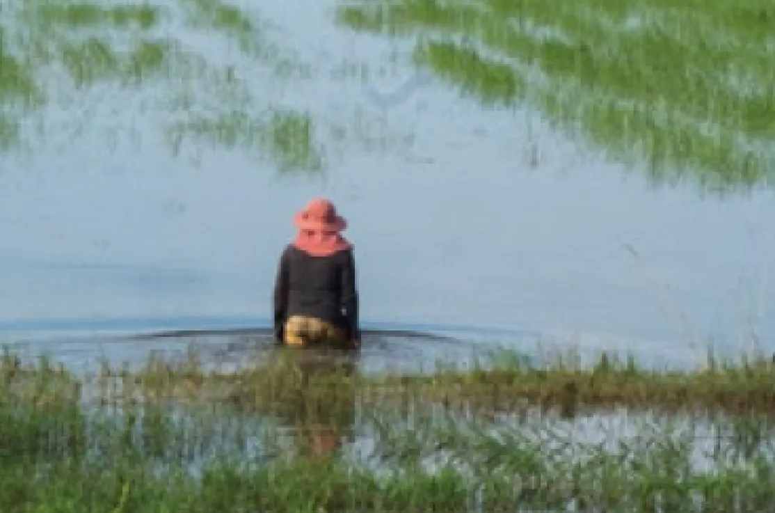 Exposición "El agua es esencial para la vida"