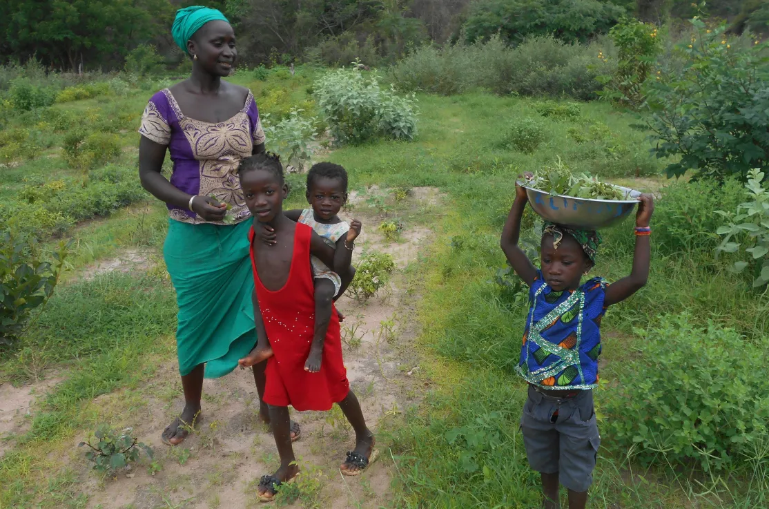 700 mujeres senegalesas mejoran sus vidas. Foto: Manos Unidas